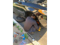 mobile-mechanic-daves-gifted-hands-llc-small-1