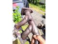 local-mobile-mechanic-small-4