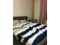free-loveseat-sofa-astoria-small-2
