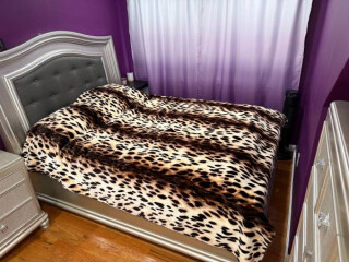 MOVE OUT SALE 90% OFF AND SOME FREE PICK UP ONLY. - $52 (VALLEY STREAM)